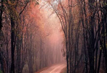 那不勒斯主帅为何突然下课？背后藏着哪些关键因素？